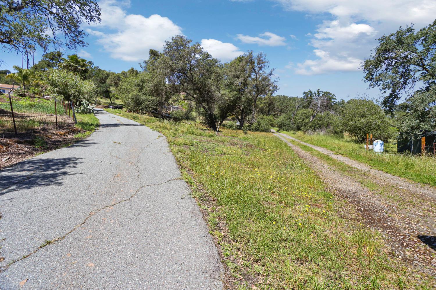 901 Quail Oaks Road Valley Springs, CA 95252 - Photo 52 of 59 a view of a road with a yard