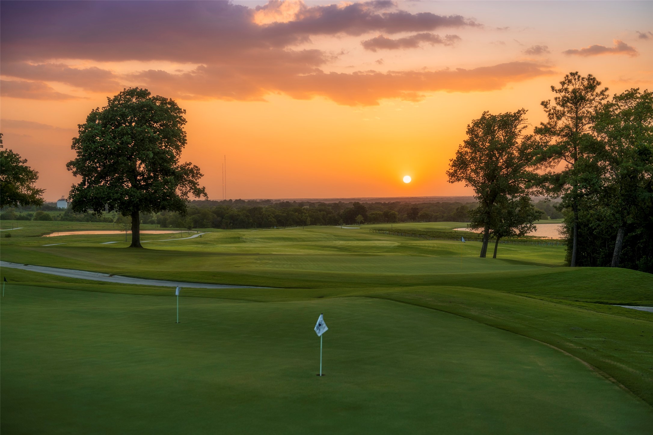 14114 Ripple Rdg Drive Willis, TX 77318 - Photo 5 of 12 a view of a golf course with a lake