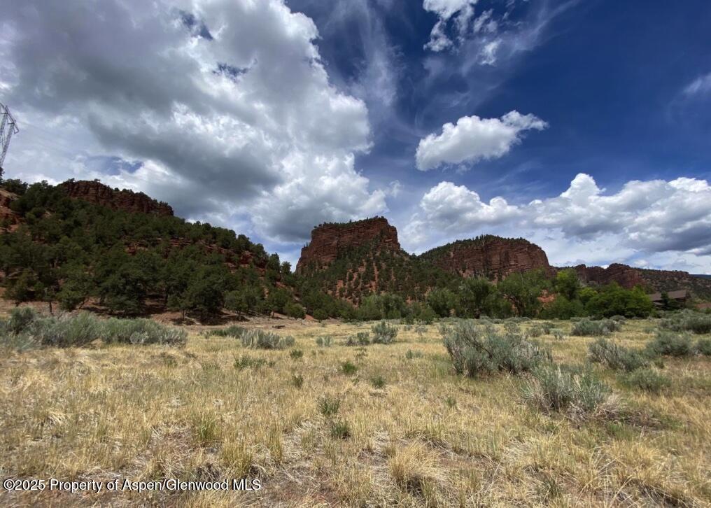 1200 Frying Pan Road Basalt, CO 81621 - Photo 3 of 11 a view of a yard