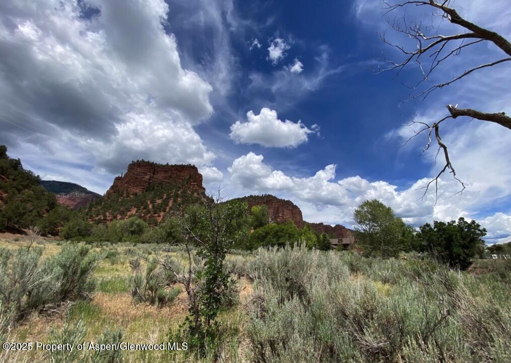 1200 Frying Pan Road Basalt, CO 81621 - Photo 6 of 11 a view of a garden