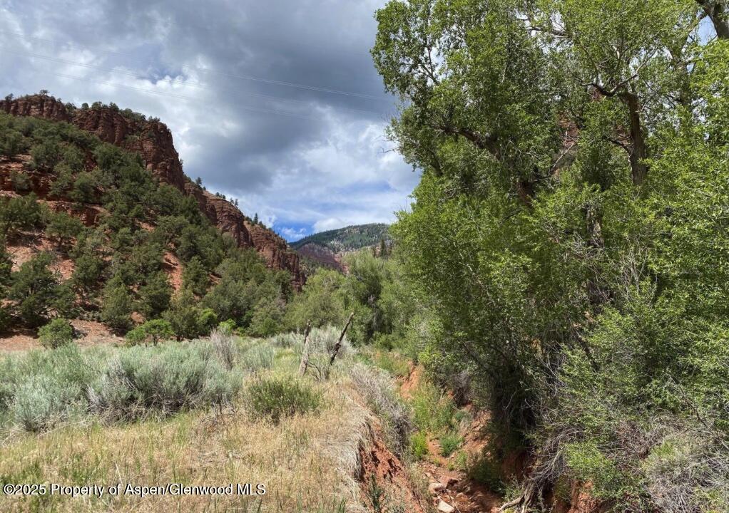 1200 Frying Pan Road Basalt, CO 81621 - Photo 7 of 11 a view of a yard