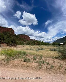 a view of a lush green forest with lots of trees