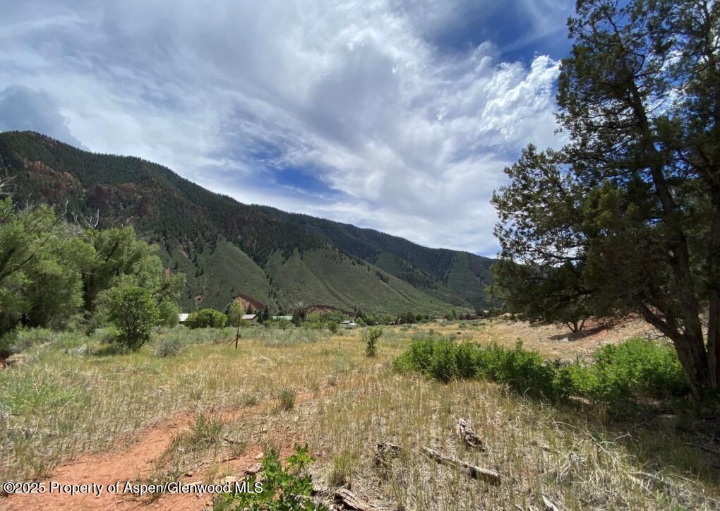 1200 Frying Pan Road Basalt, CO 81621 - Photo 10 of 11 a view of a lush green forest with lots of trees