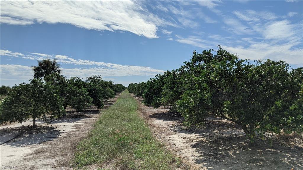 Lot 9 7th Road LaBelle, FL 33935 - Photo 8 of 10 a view of a pathway with a yard