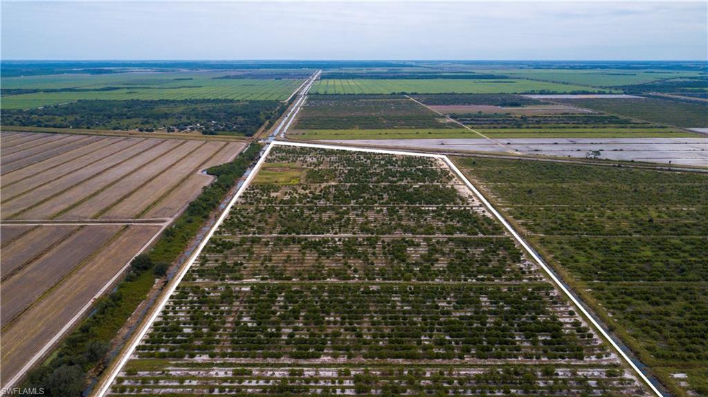 Lot 9 7th Road LaBelle, FL 33935 - Photo 10 of 10 a view of a yard