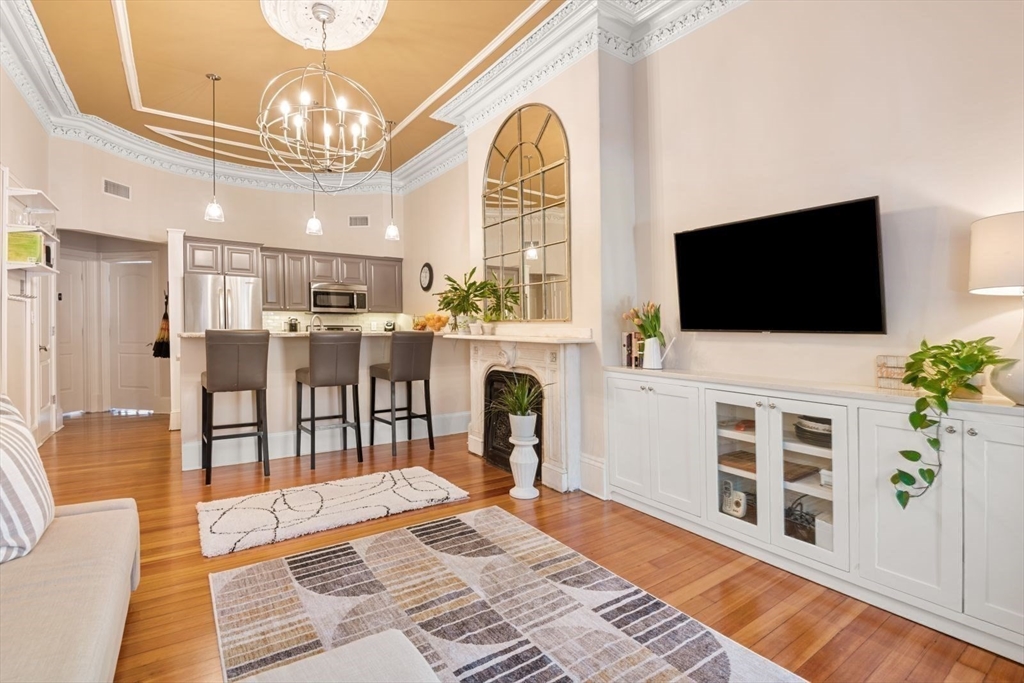 232 West Canton Street, Unit 2 Boston, MA 02116 - Photo 5 of 23 a view of a livingroom with furniture a flat screen tv and a fireplace