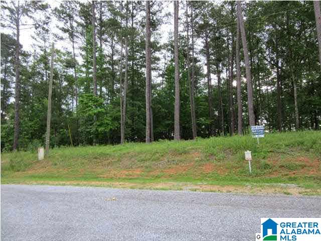 0 Timber Trail, Unit LOT 29 Sylacauga, AL 35151 - Photo 9 of 25