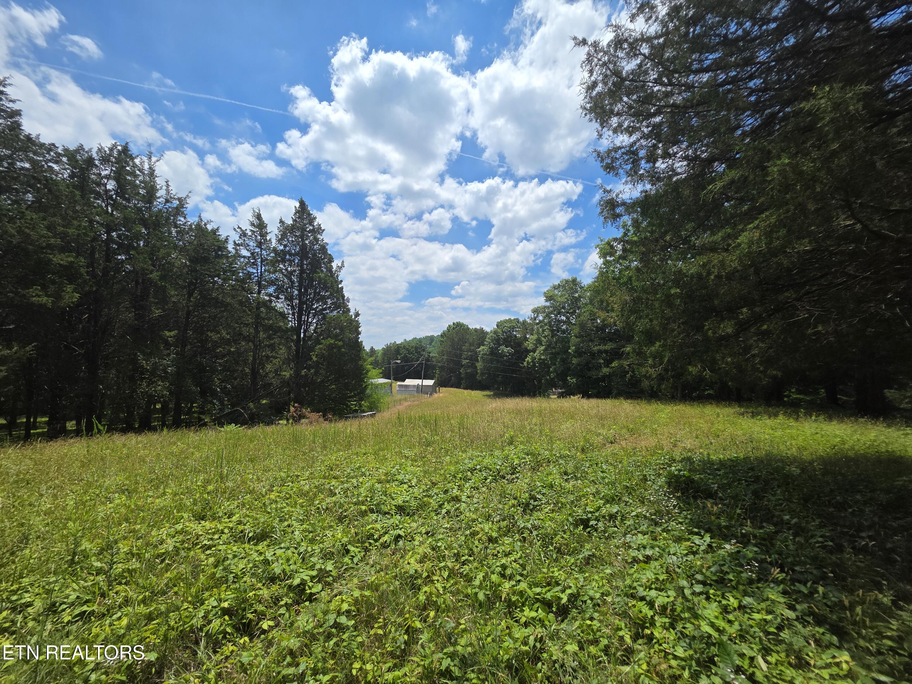 8050 Lett Road Corryton, TN 37721 - Photo 7 of 30 County living
