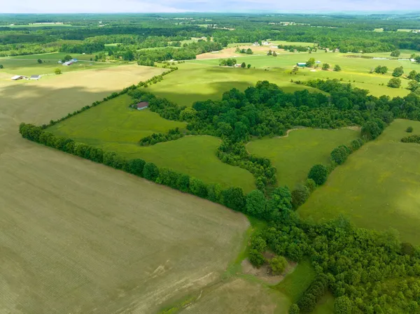 a view of an ocean from a yard