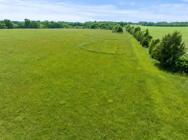 a view of a green field with an ocean view
