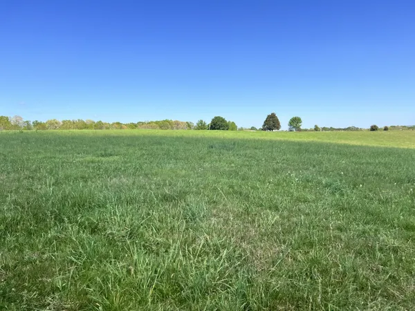 a view of a grassy field with an ocean