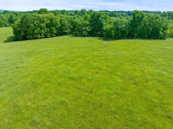a view of a green yard with a house in the background