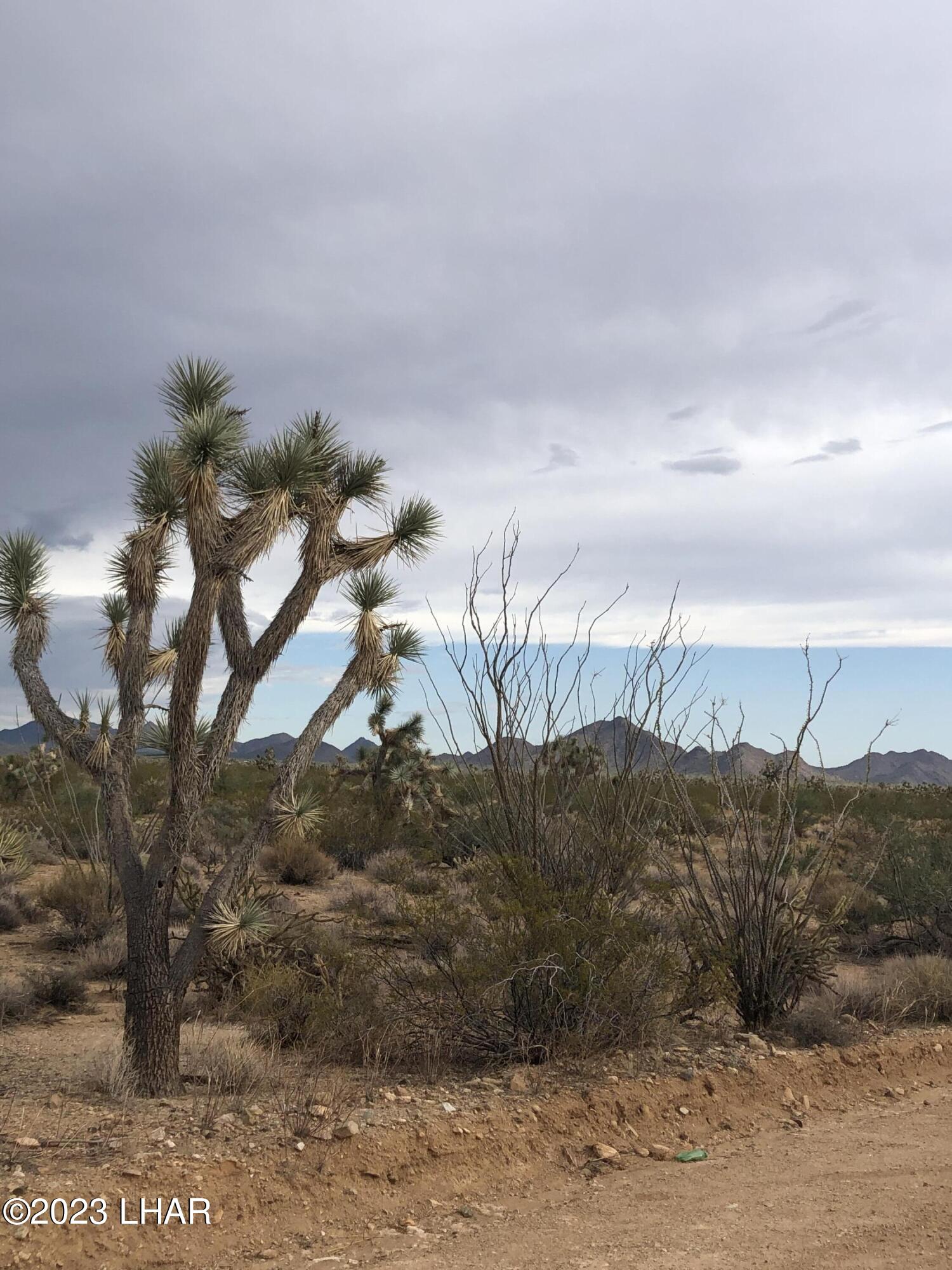 Lot 1048 South Wyatt Earp Road Yucca, AZ 86438 - Photo 5 of 6 IMG_9818