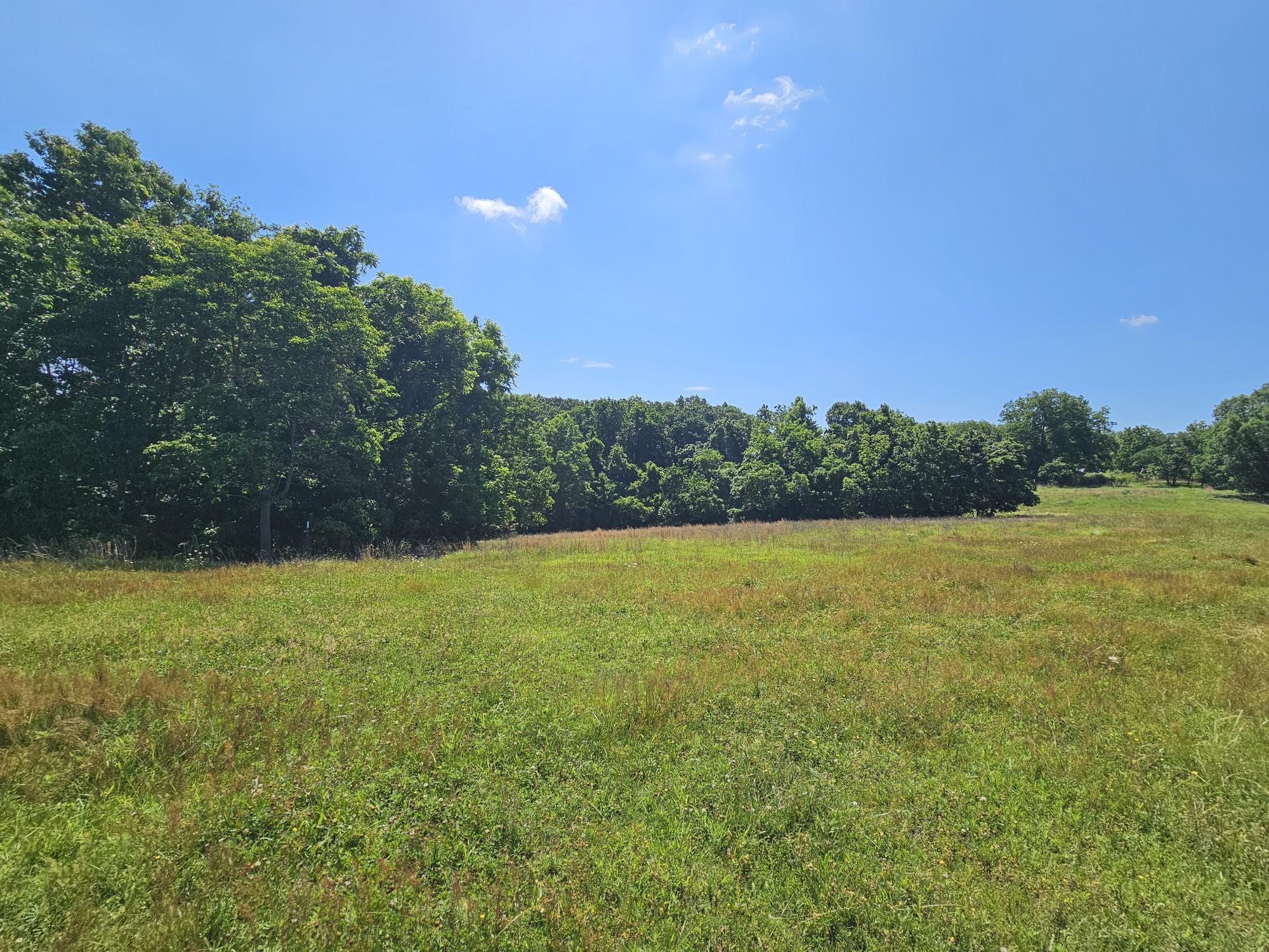 5383 Cowan Ridge Road Powell, MO 65730 - Photo 10 of 32 cowin ridge pic land 2-1