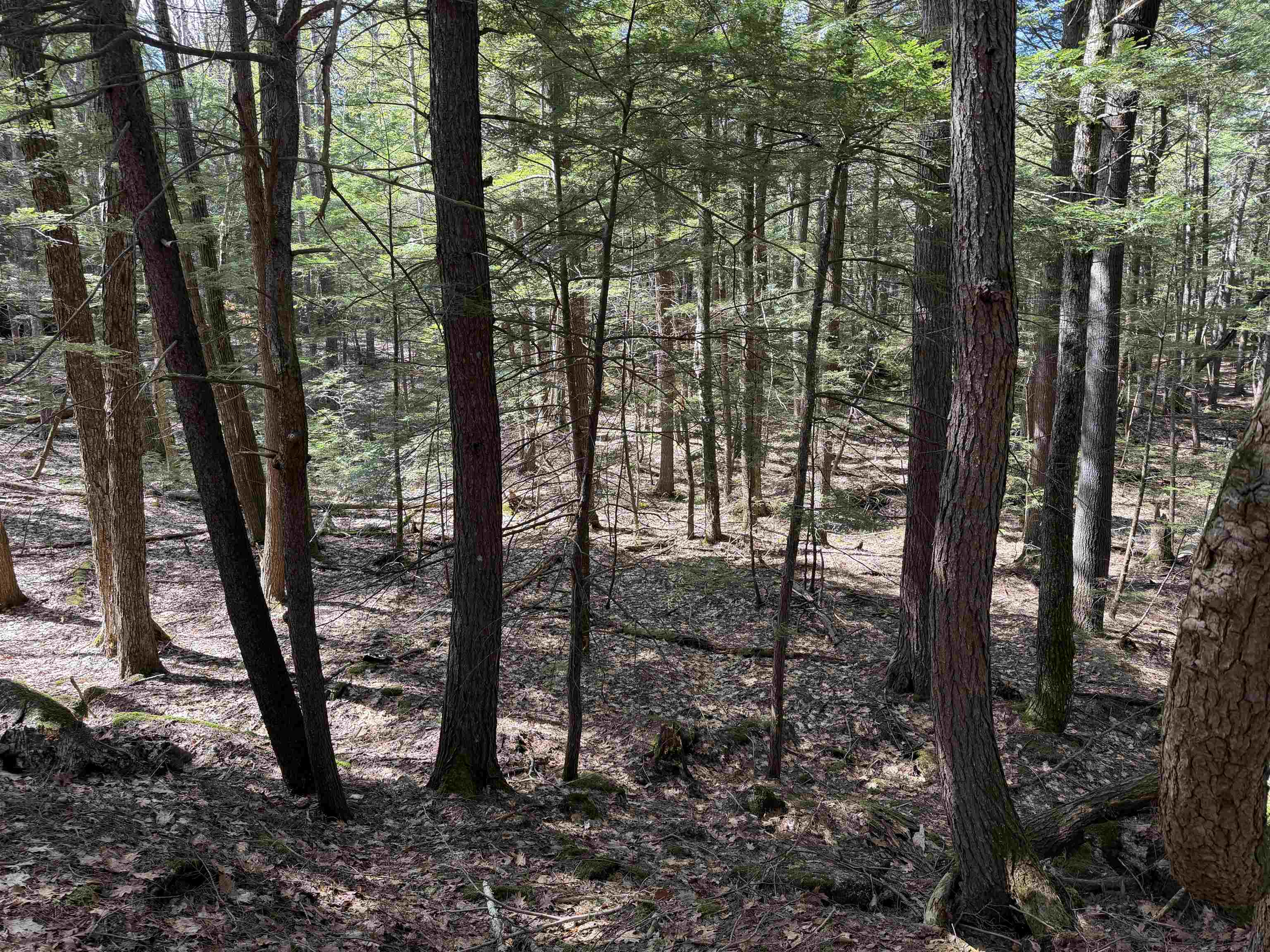 R29-l9 Roxbury Road, Unit LOT 9 Meredith, NH 03253 - Photo 26 of 36