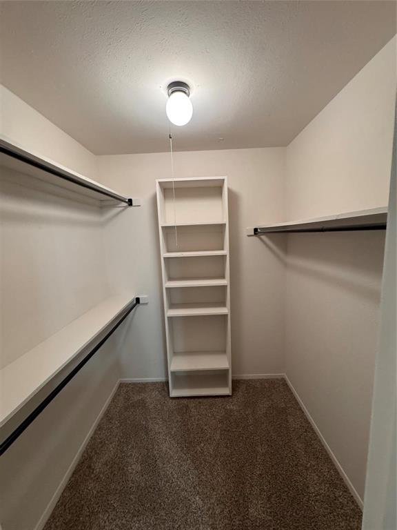 4859 Cedar Springs Road, Unit 150 Dallas, TX 75219 - Photo 19 of 24 a view of an empty walk in closet