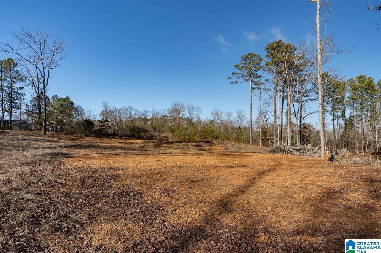 510 Cobb Road Oxford, AL 36203 - Photo 3 of 17