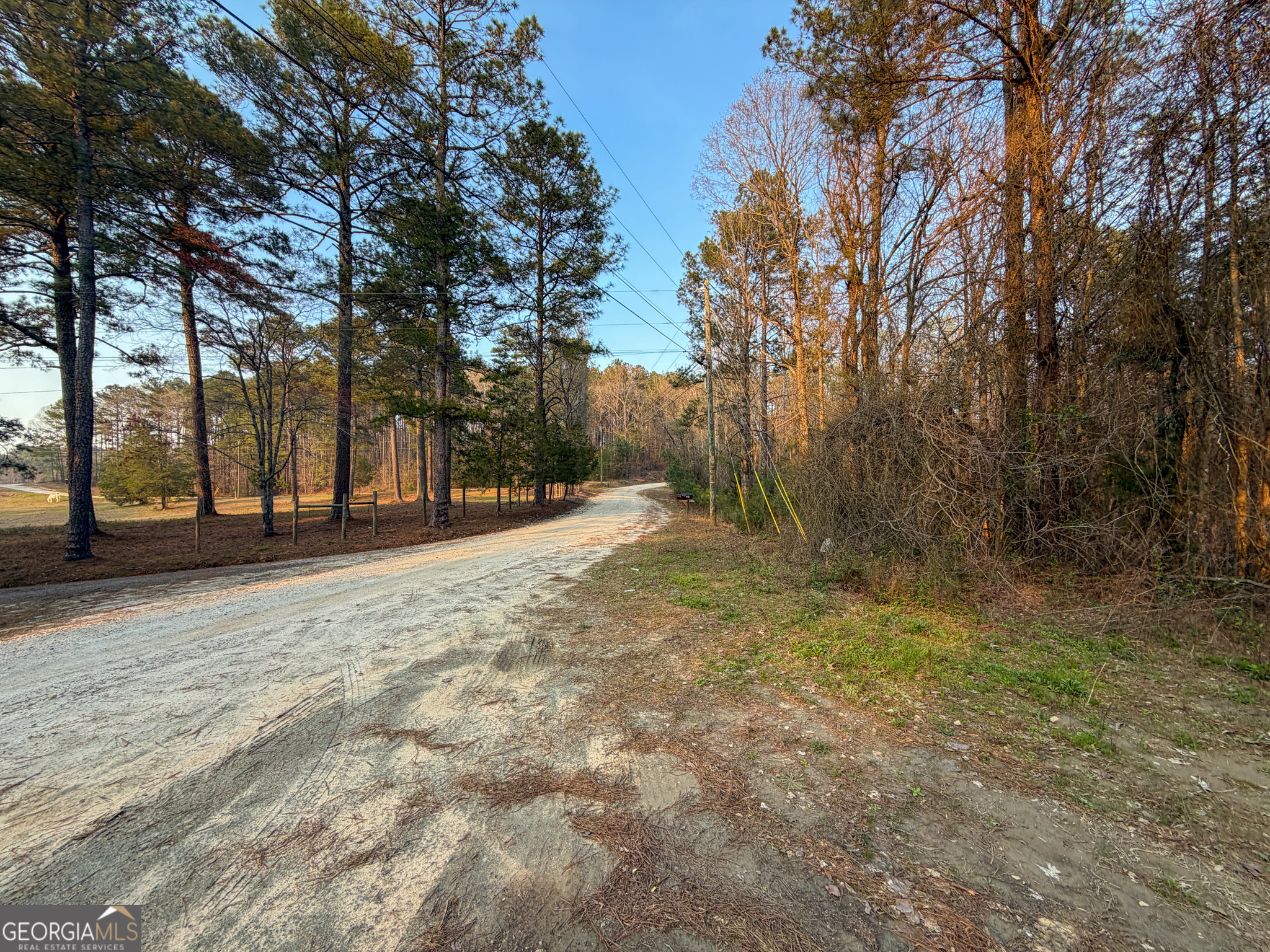 117 Acres On Mccosh Mill Road Franklin, GA 30217 - Photo 21 of 24