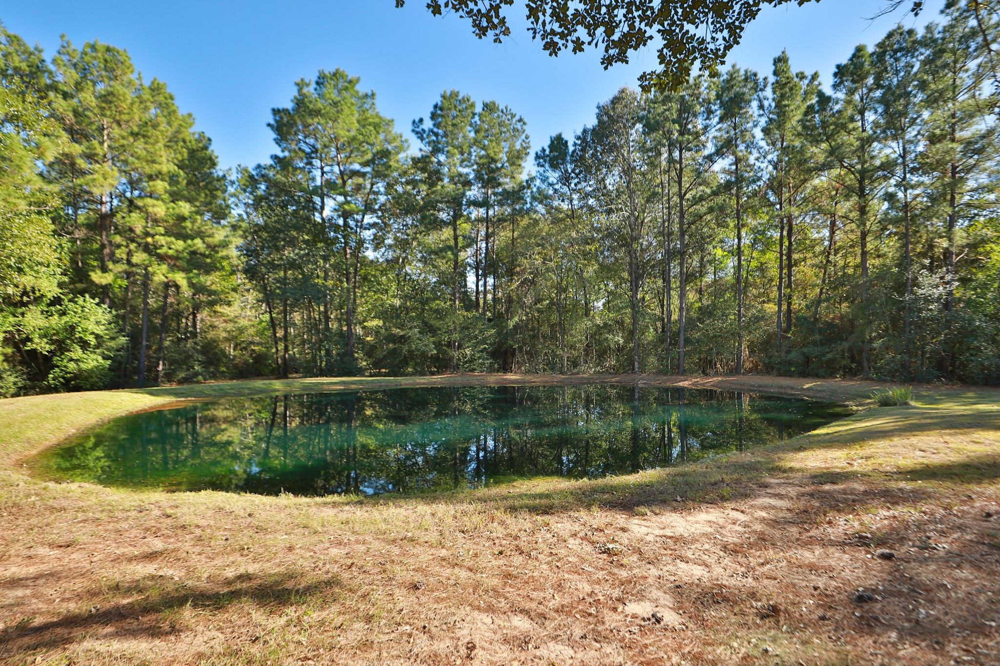 24550 Johnson Road Montgomery, TX 77356 - Photo 38 of 50 Pond