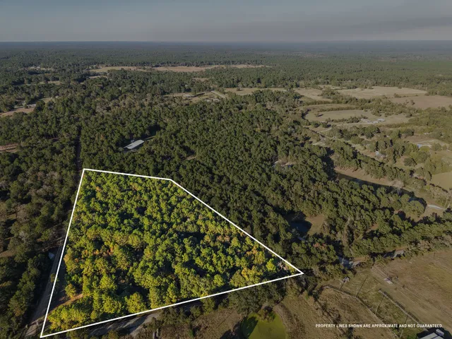 $2,395,000 | 24550 Johnson Road, Montgomery, TX 77356