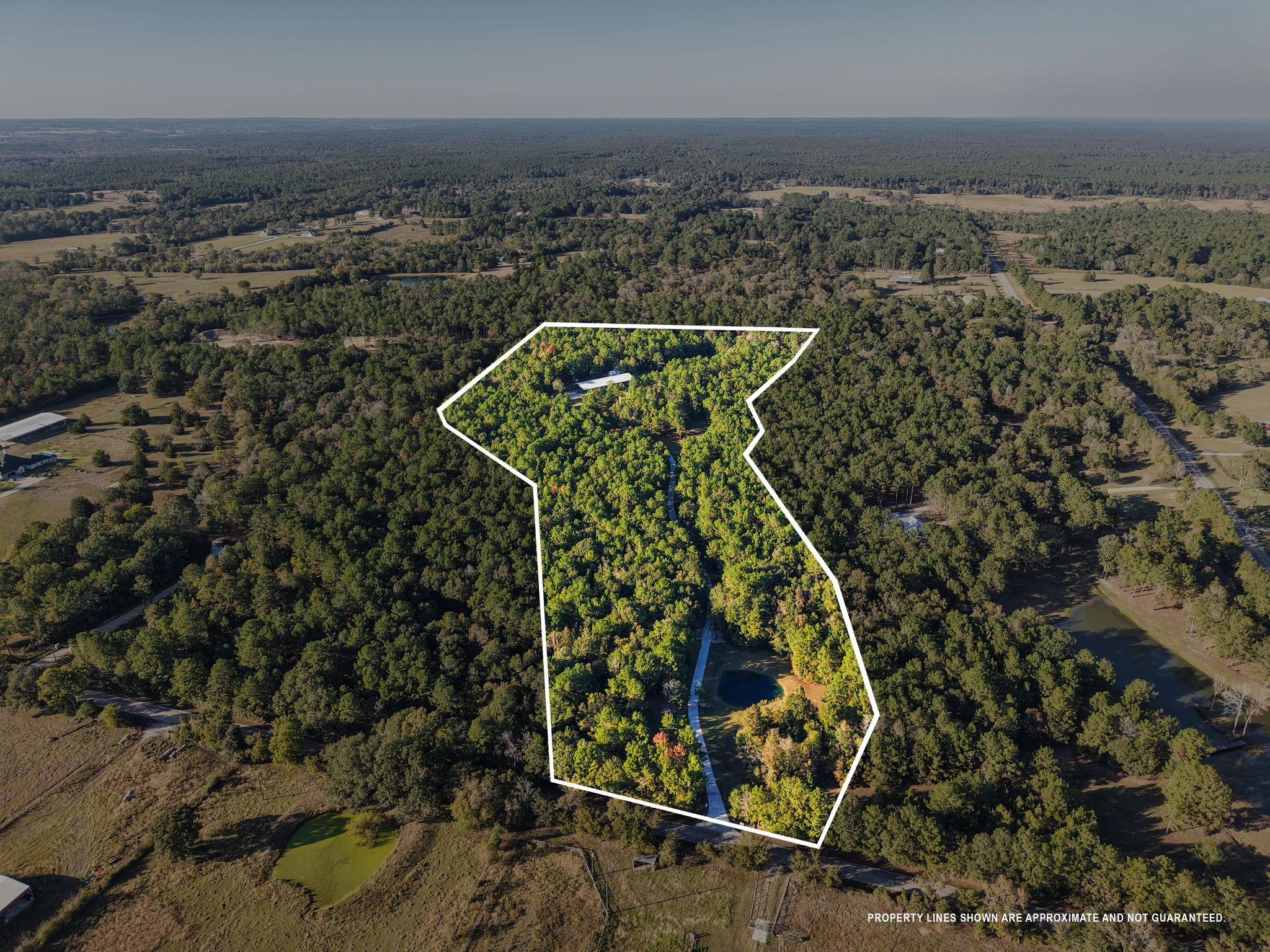 24550 Johnson Road Montgomery, TX 77356 - Photo 42 of 50