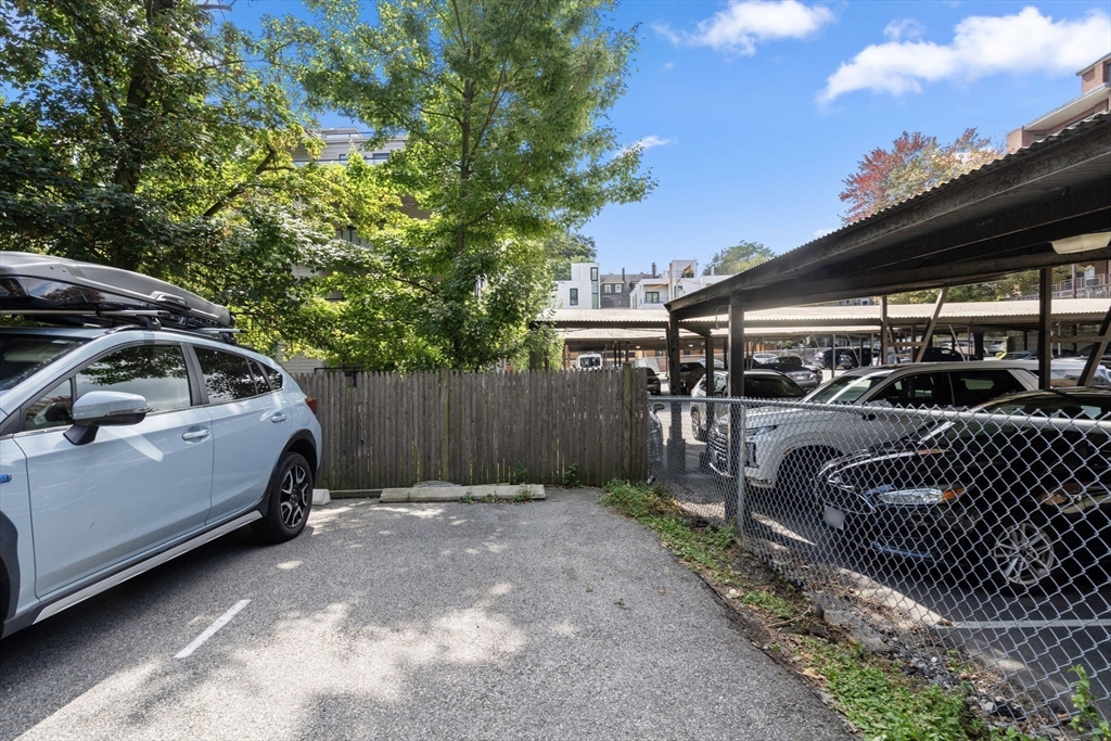 114 St Paul Street, Unit 5 Brookline, MA 02446 - Photo 19 of 22 a view of backyard with parked car
