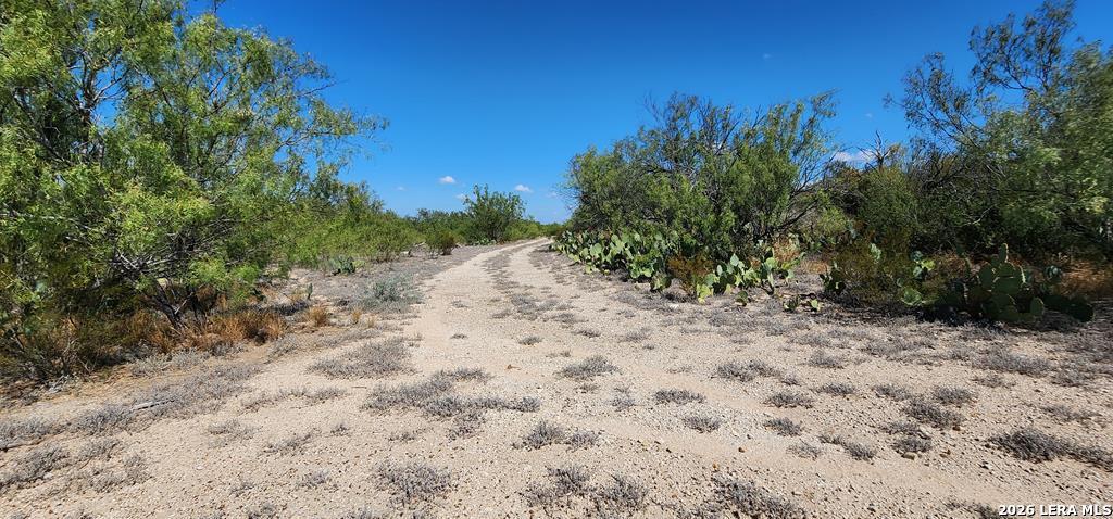 0 Loop 517 Carrizo Springs, TX 78834 - Photo 12 of 30