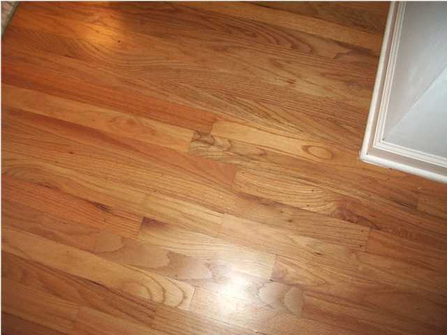 6020 Chisolm Road Johns Island, SC 29455 - Photo 11 of 24 Additional Photo