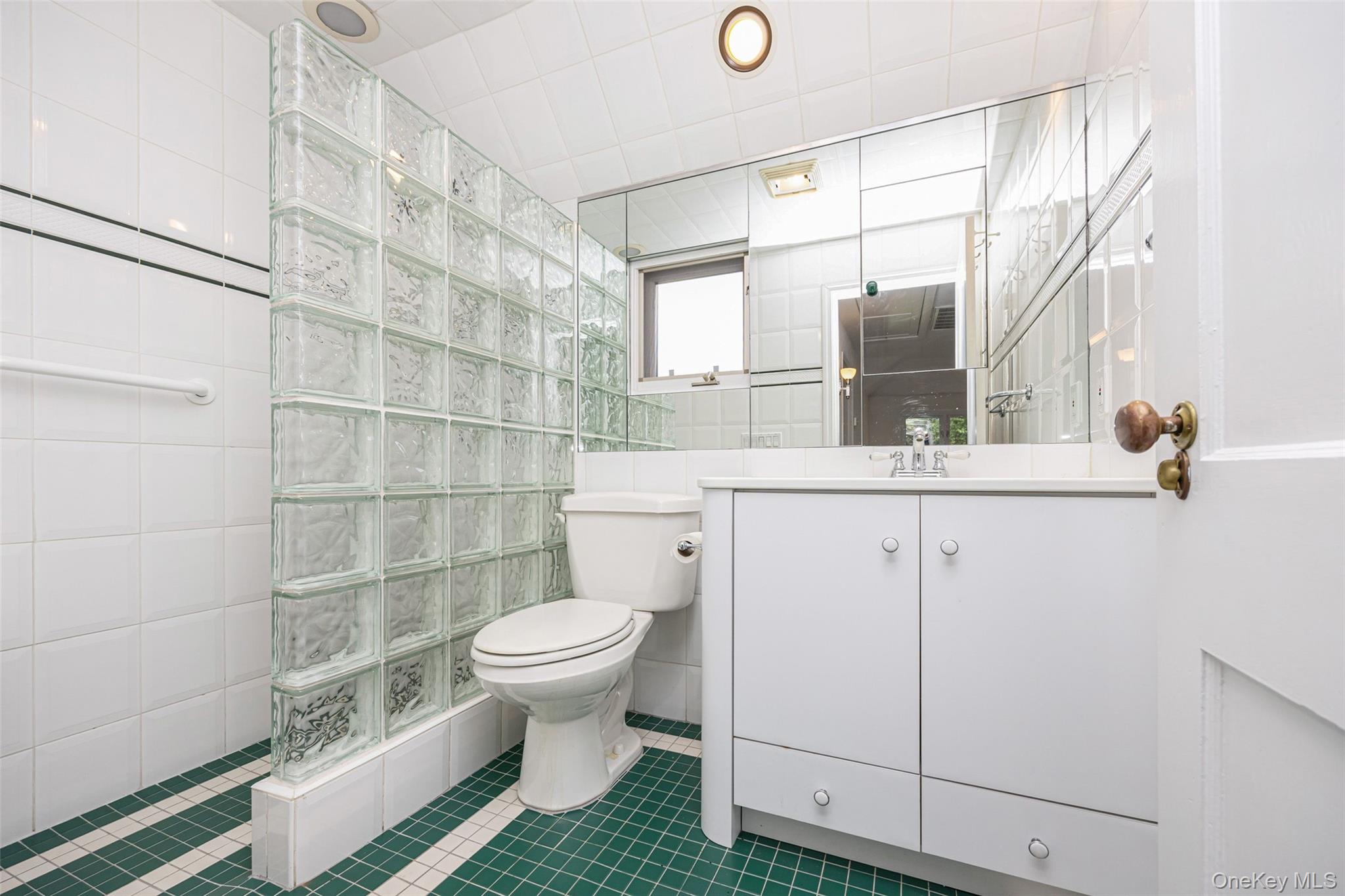 3 Buckingham Place Great Neck, NY 11021 - Photo 22 of 28 a bathroom with a sink toilet and shower