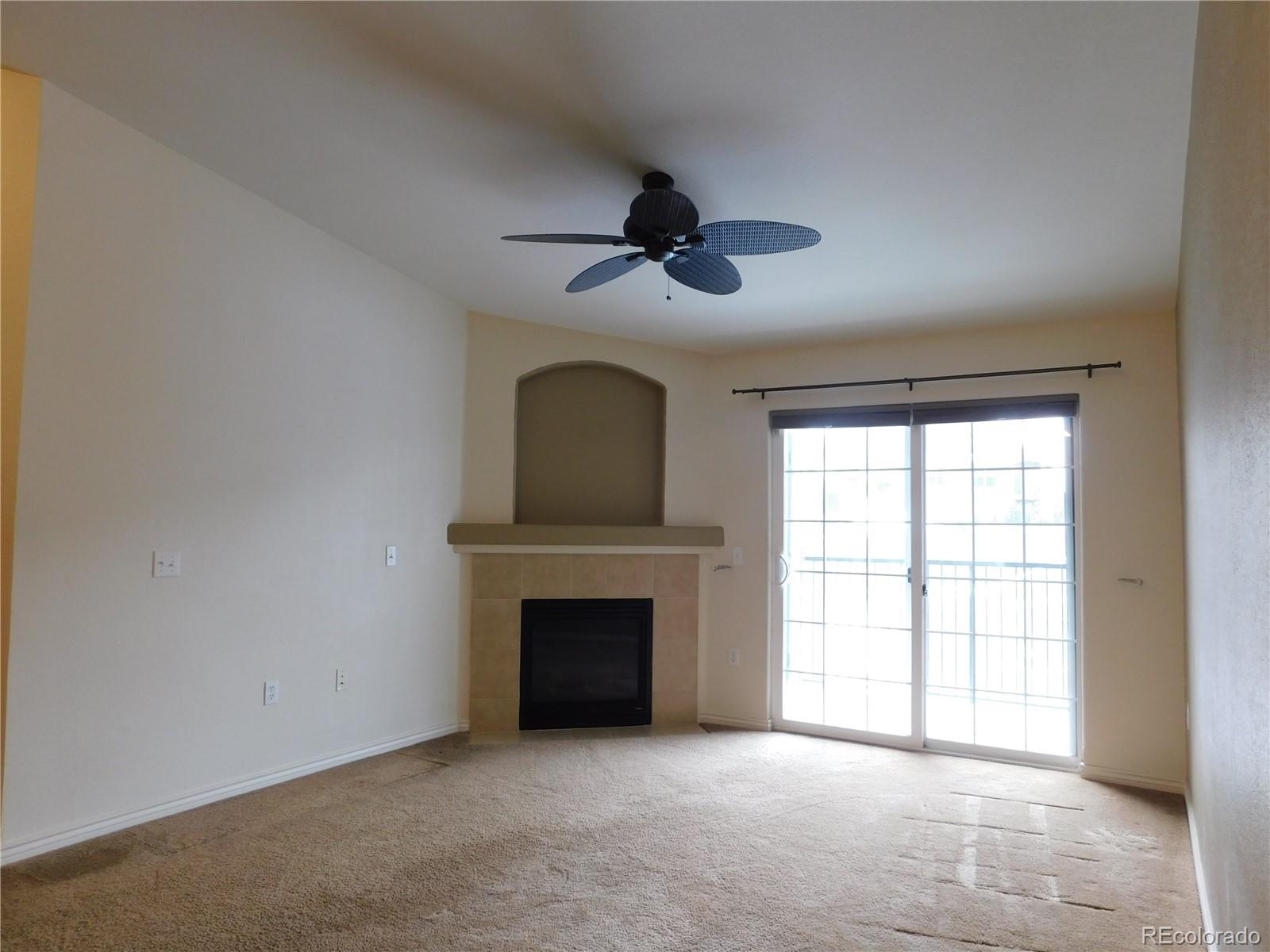 18669 Stroh Road, Unit 10204 Parker, CO 80134 - Photo 9 of 28 an empty room with windows and fireplace