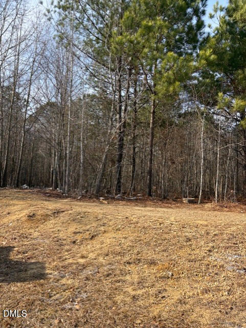 206 Hope Street Erwin, NC 28339 - Photo 8 of 10