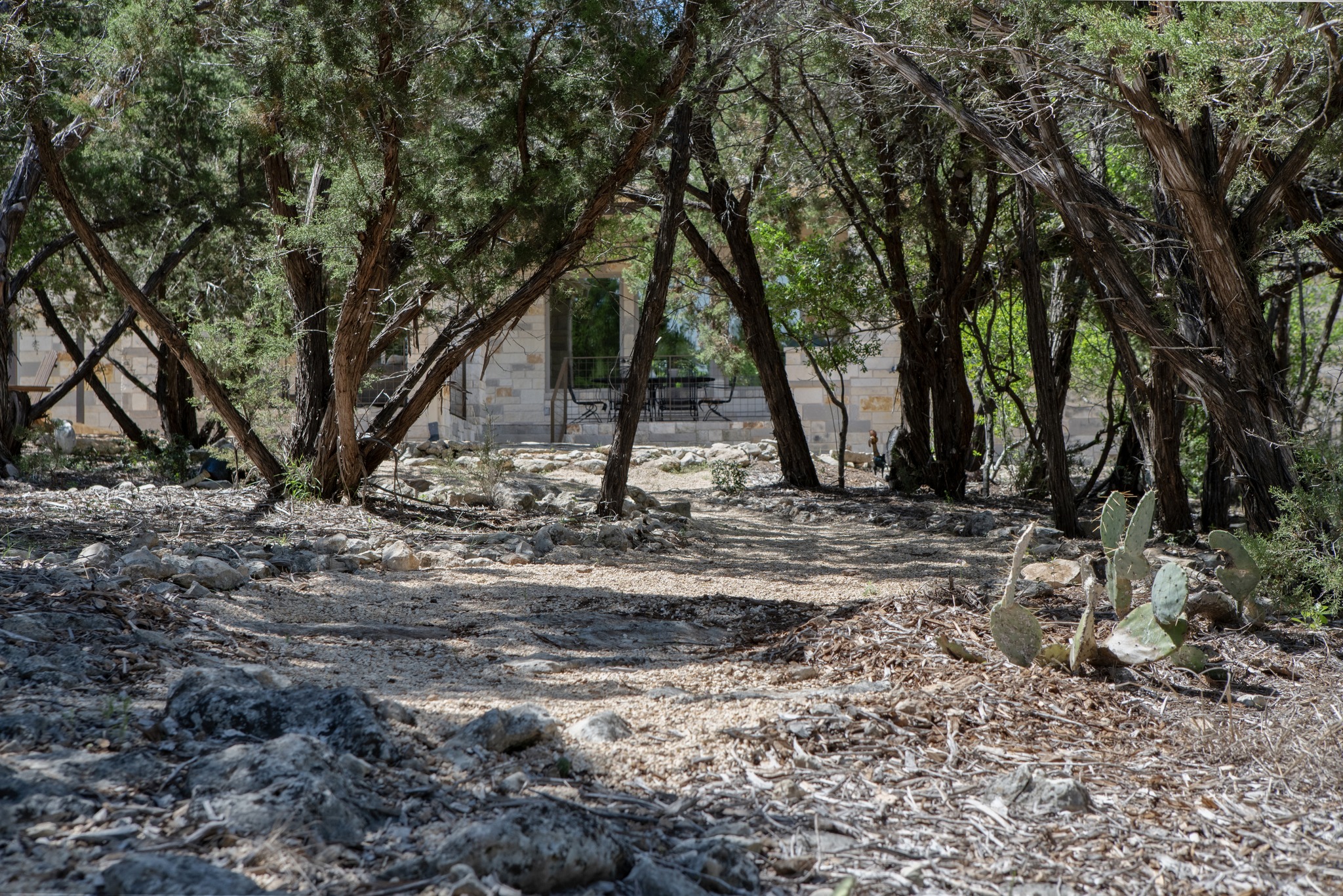 1001 La Cantera Leander, TX 78641 - Photo 34 of 40 a view of a backyard with large trees