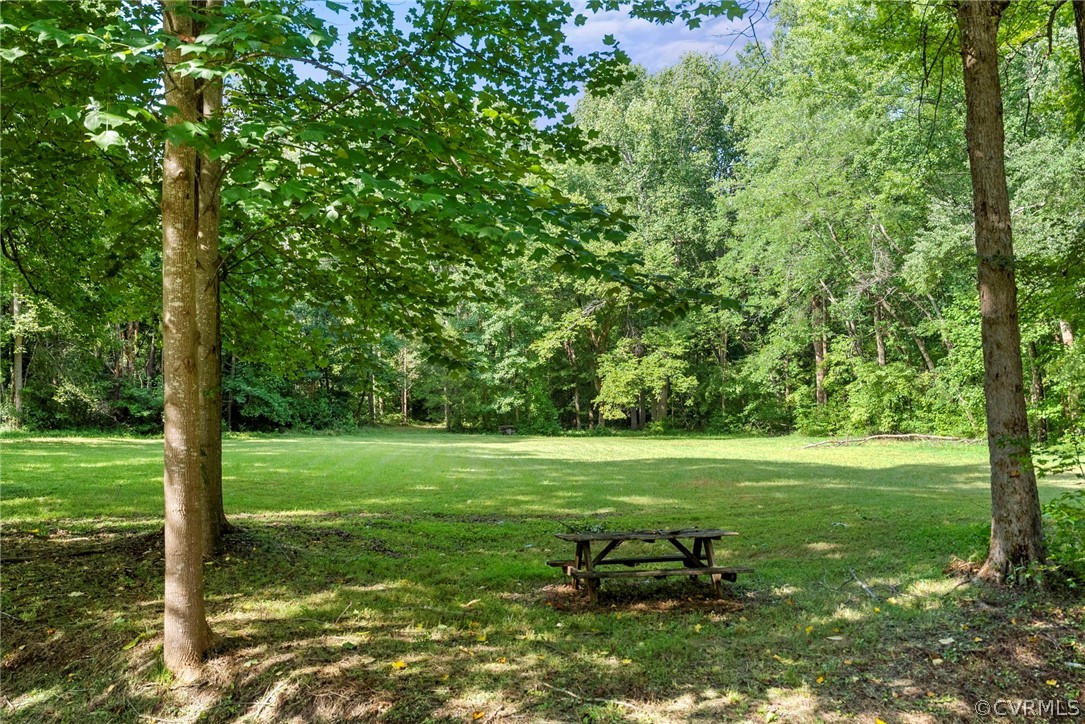 2510 Broad St Road Gum Spring, VA 23065 - Photo 38 of 44 a view of a field with a tree
