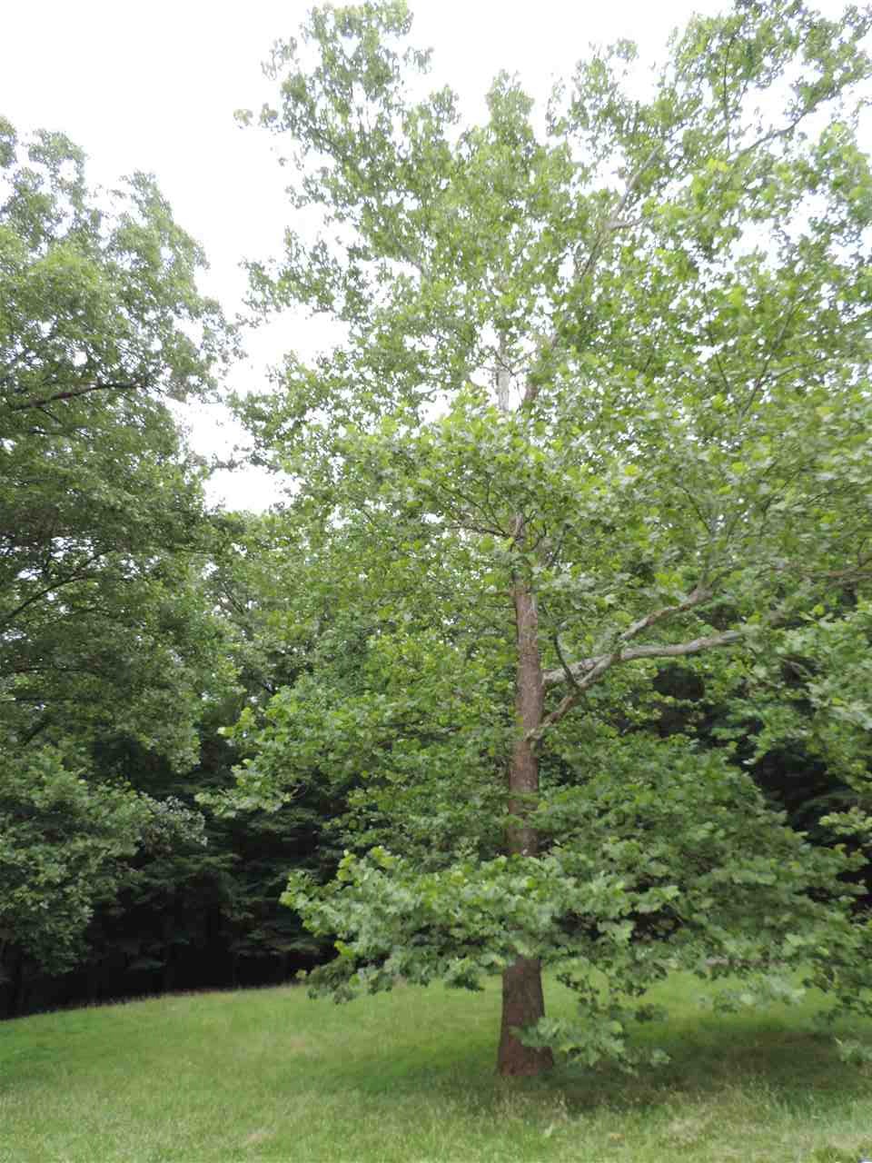 3900 East Ramp Creek Road Bloomington, IN 47401 - Photo 15 of 17
