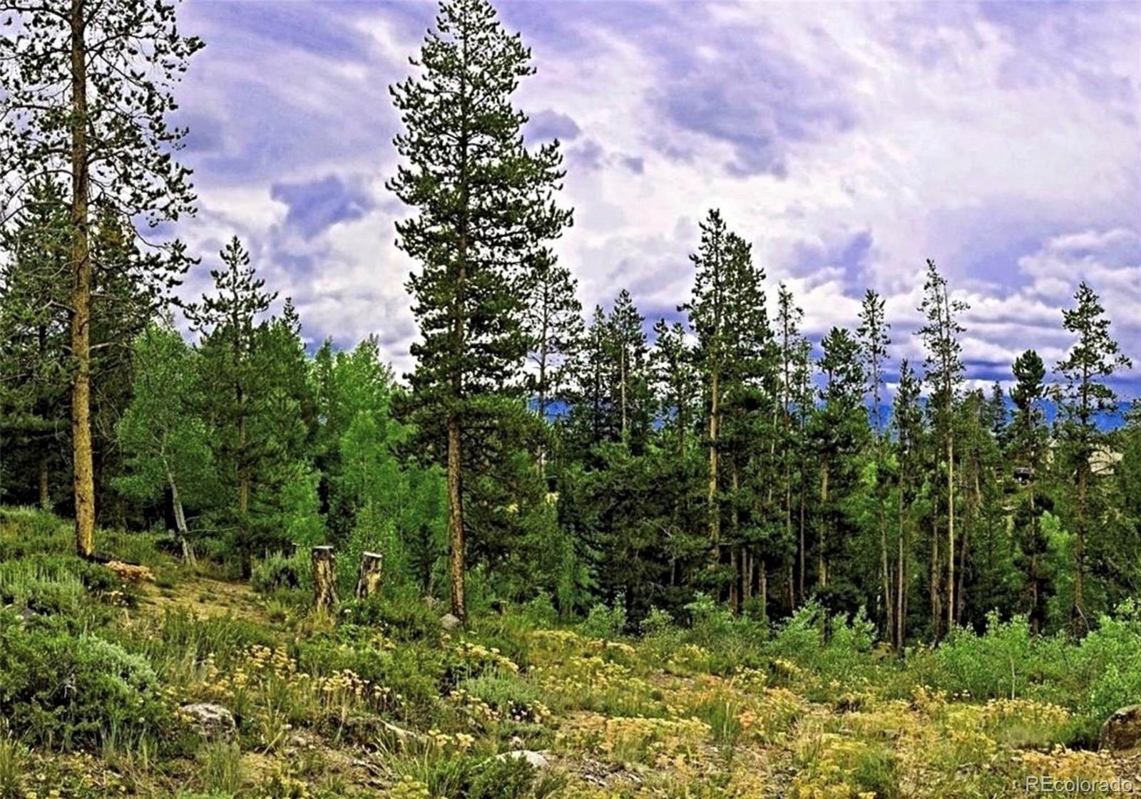 797 Fawn Drive Tabernash, CO 80478 - Photo 7 of 11