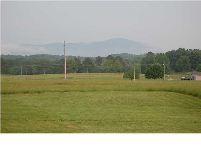 1235 Chestuee Road Northeast Cleveland, TN 37323 - Photo 2 of 13 Additional Photo