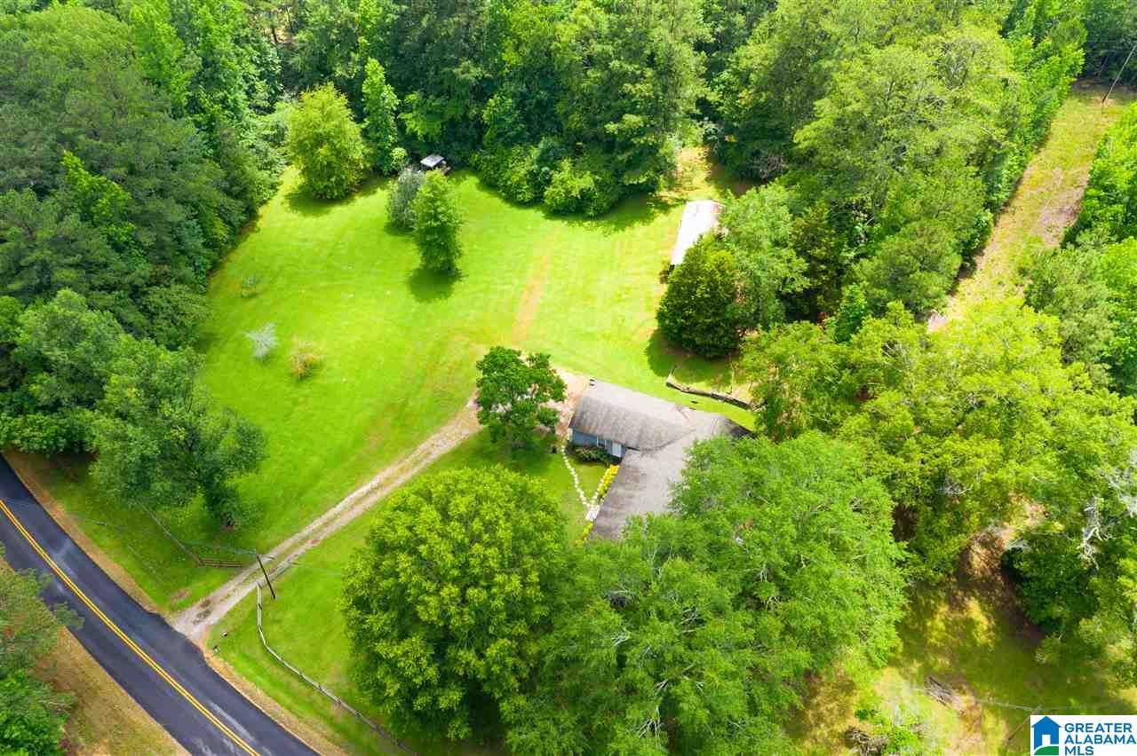 1281 Highway 59 Vincent, AL 35178 - Photo 38 of 38