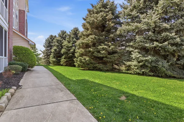 a view of a park with plants and trees