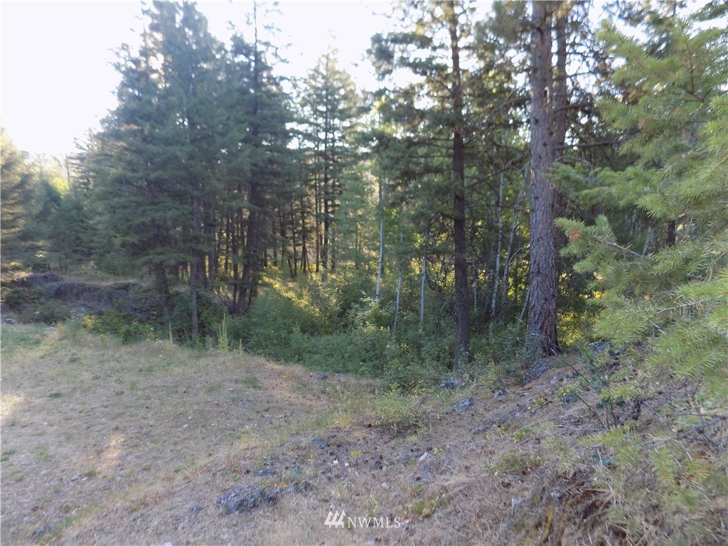 9 Stonehaven Road Tonasket, WA 98855 - Photo 23 of 23