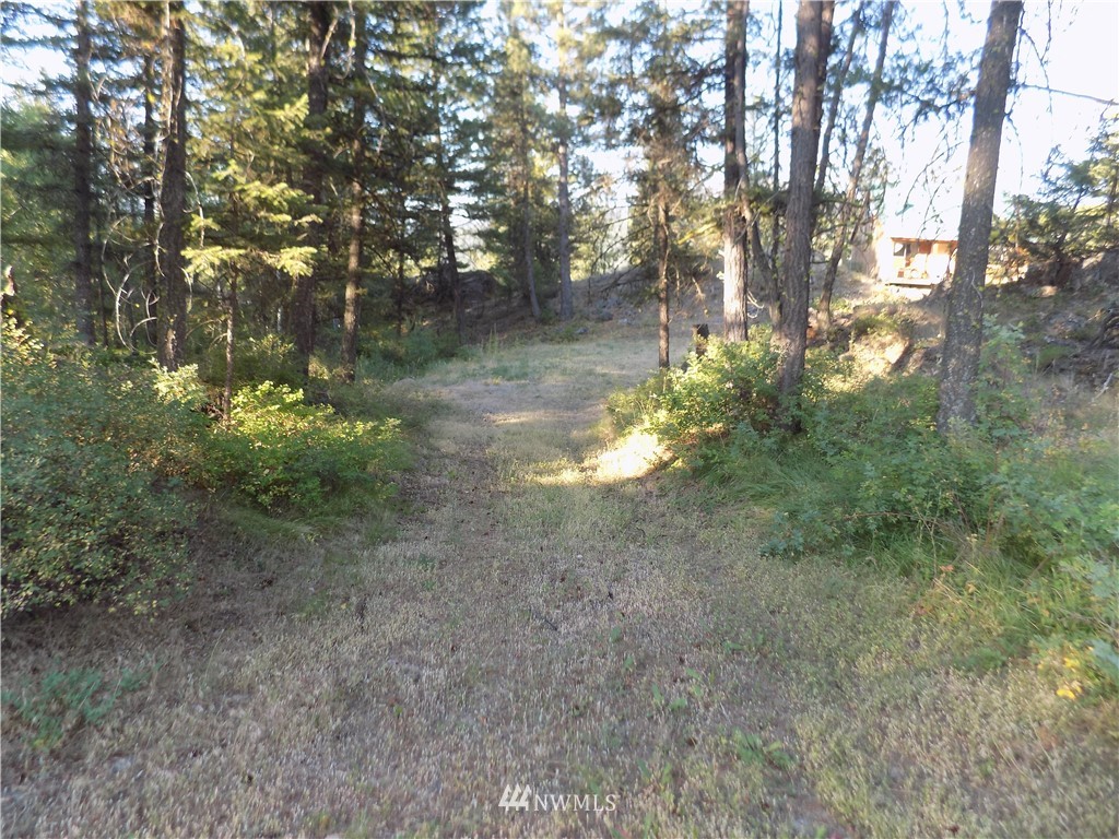 9 Stonehaven Road Tonasket, WA 98855 - Photo 4 of 23