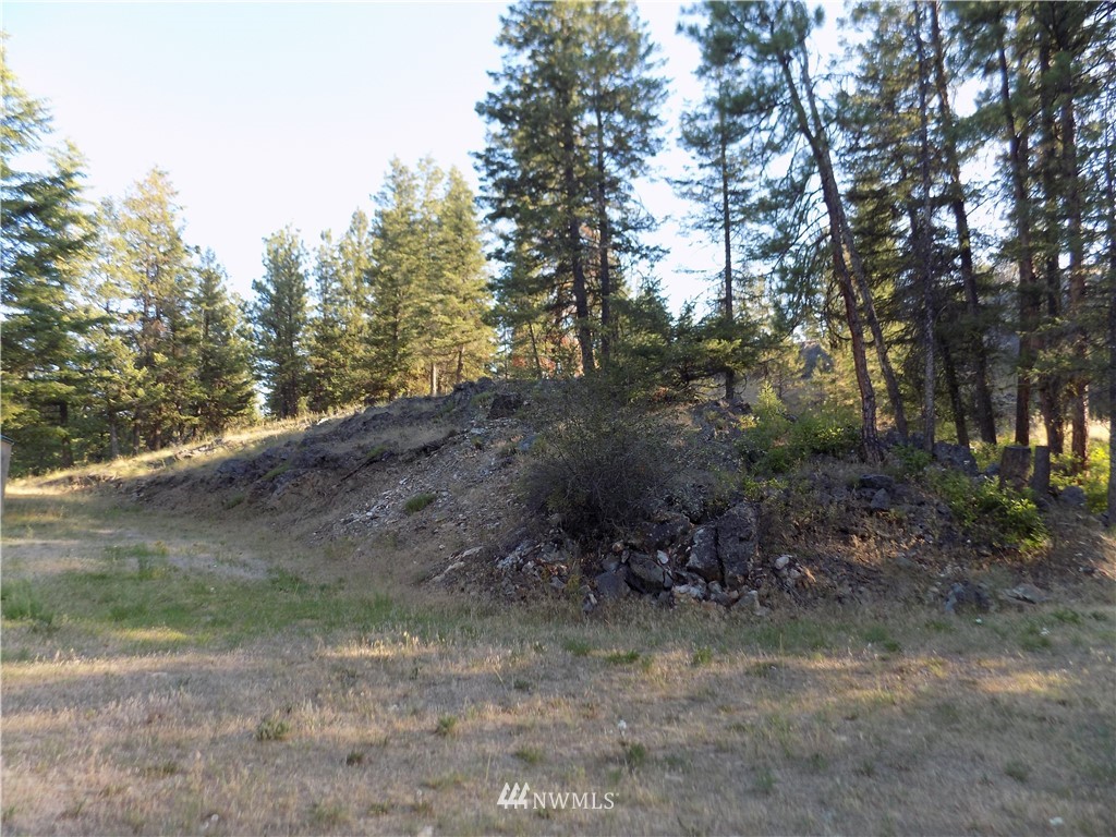 9 Stonehaven Road Tonasket, WA 98855 - Photo 7 of 23