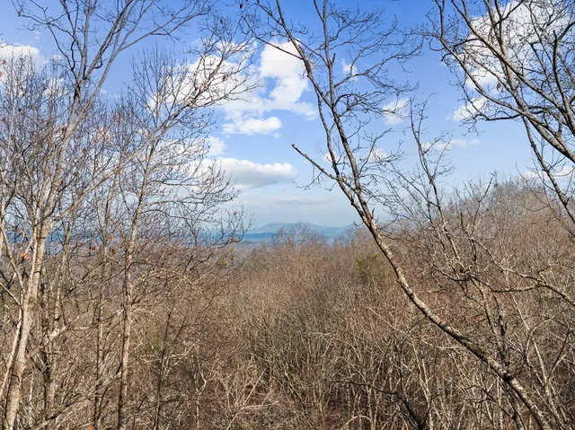 $750,000 | 1264 Sun Rock Mountain Road, Blue Ridge, GA 30513