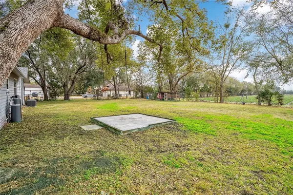 a view of a trees with a big yard