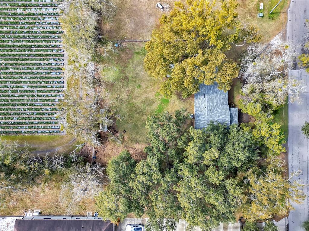 13713 Walden Sheffield Road Dover, FL 33527 - Photo 38 of 39