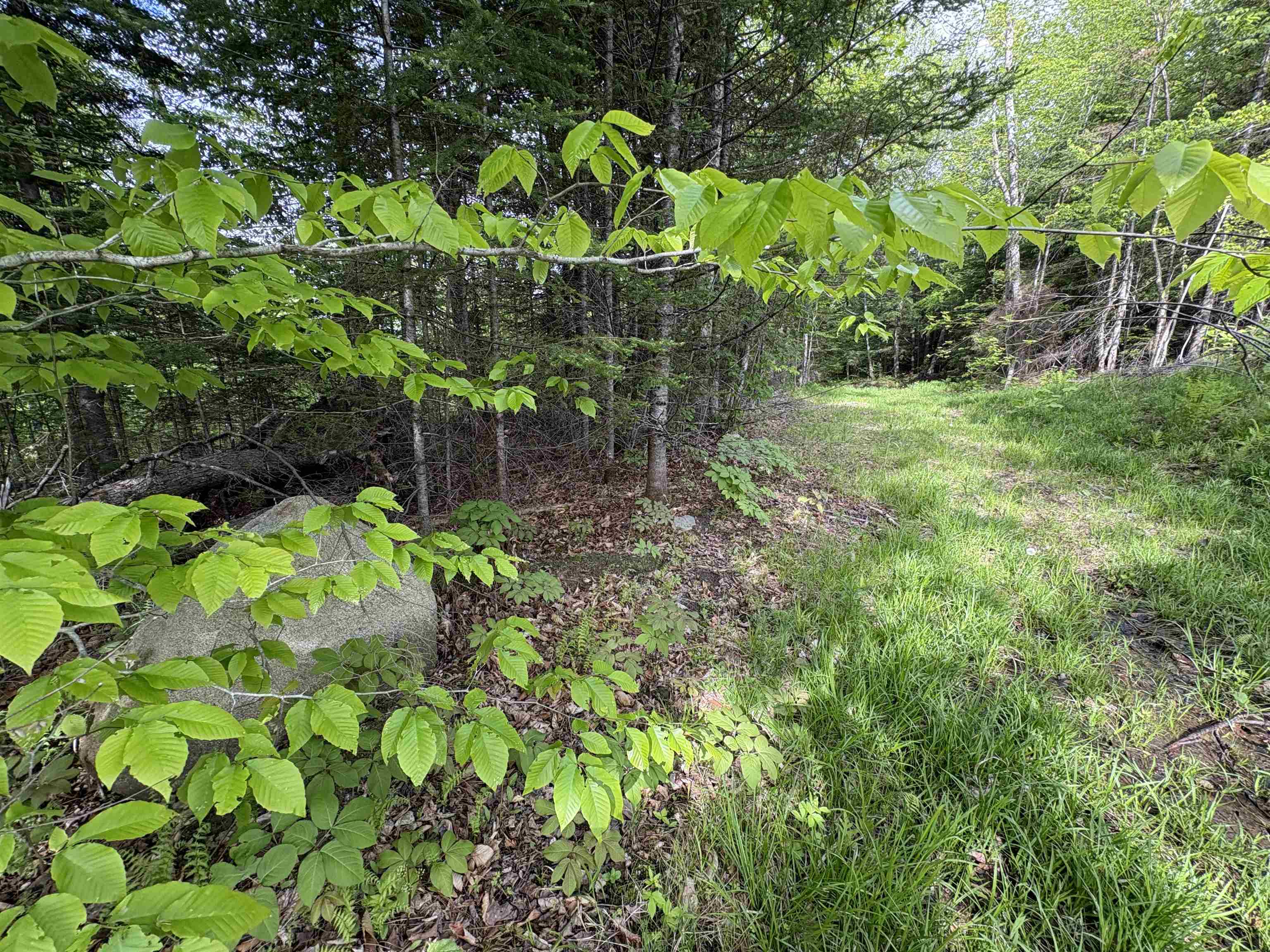 905 Peak Road Wheelock, VT 05851 - Photo 20 of 30