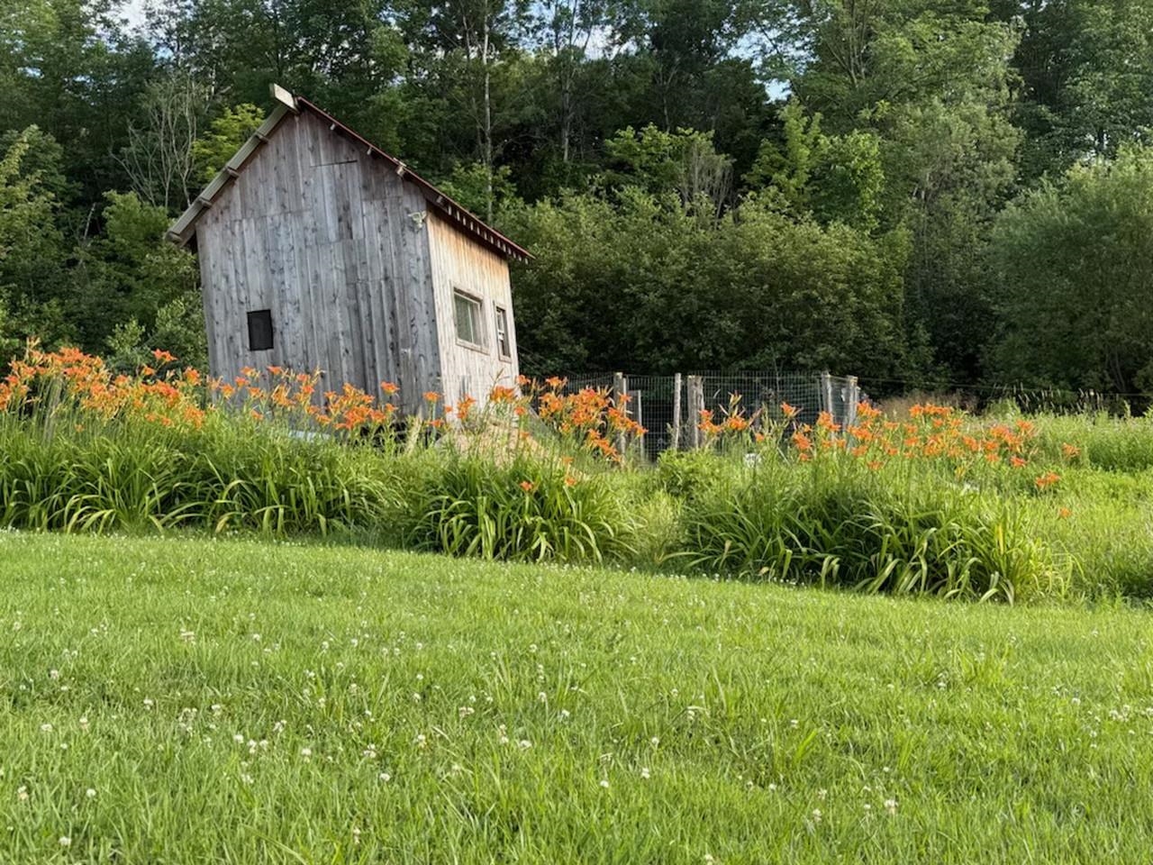 785 Duffy Hill Road Enosburg Falls, VT 05450 - Photo 26 of 39