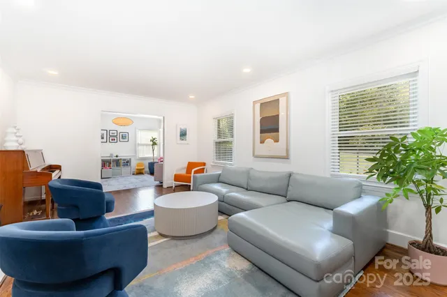 a living room with furniture and a potted plant