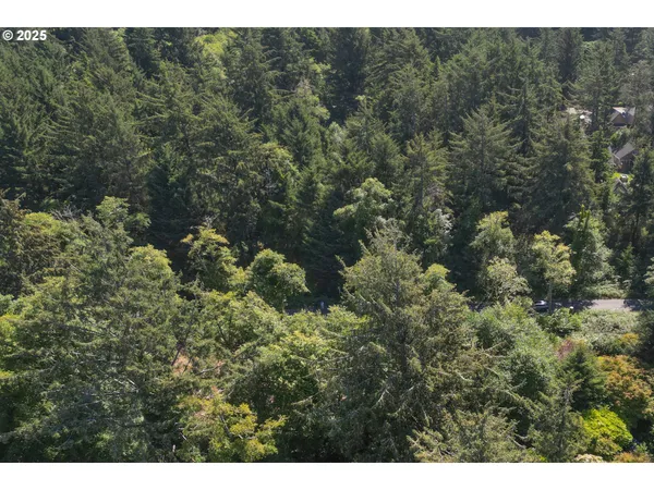 a view of a house with a tree