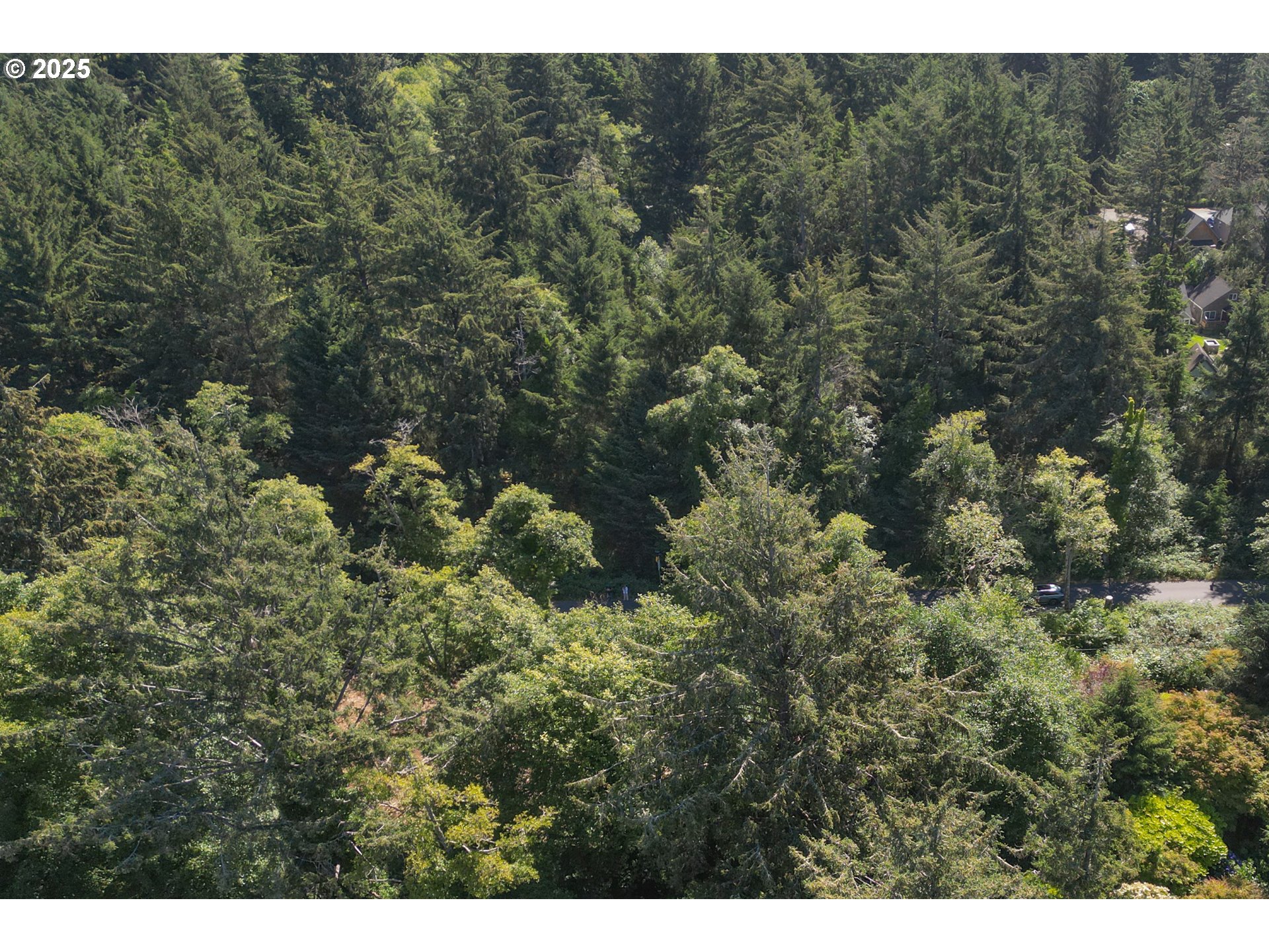 0 Ecola Park Road, Unit 5034 Cannon Beach, OR 97110 - Photo 4 of 8 a view of a forest with a street