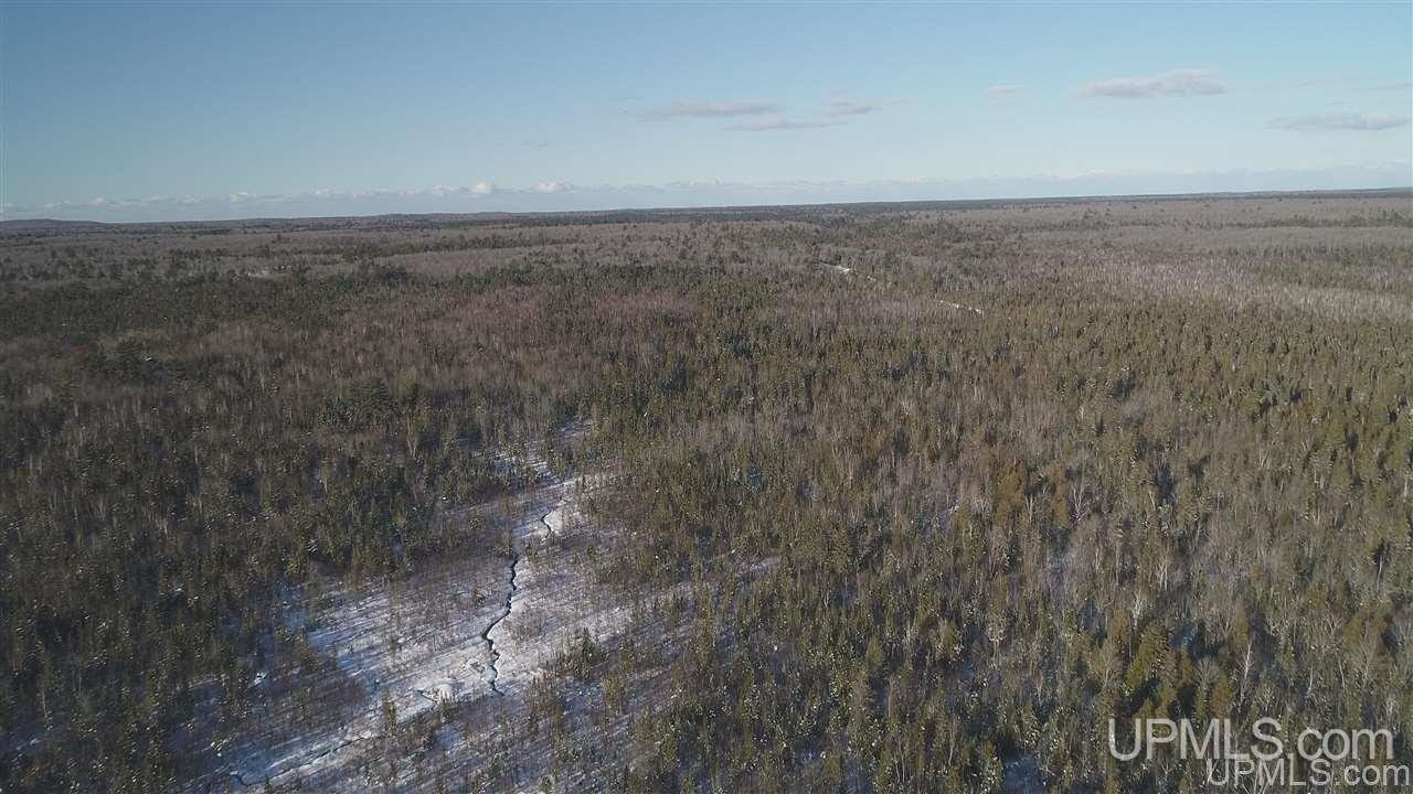 80-acres Co Rd N415 McMillan, MI 49853 - Photo 24 of 36
